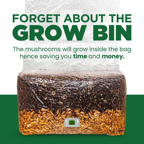 Mushroom Grow Bags